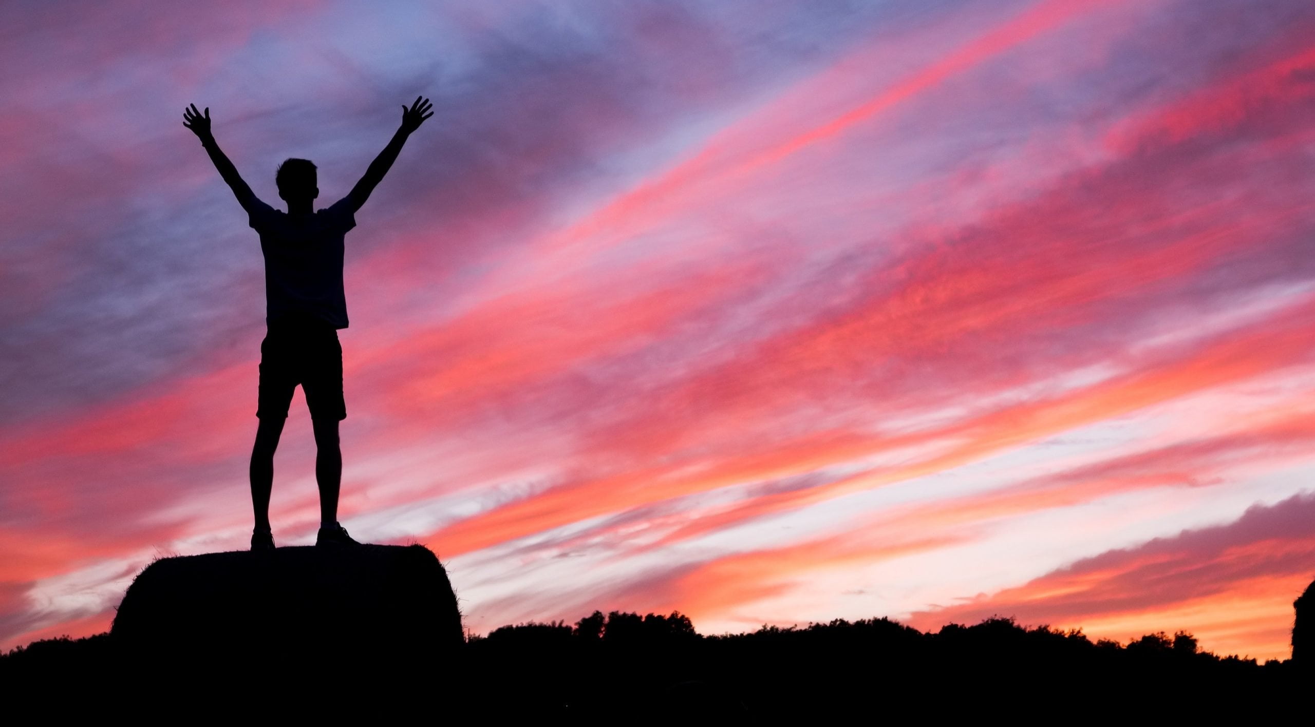 Dedication and Dream should go hand in hand