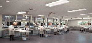 medical education