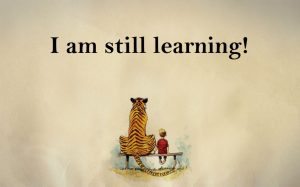 experiences